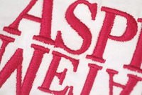 particolare del ricamo della T-shirt Aspirina Metafisica